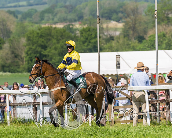 Race 2 - The Maiden  (14 of 442)
