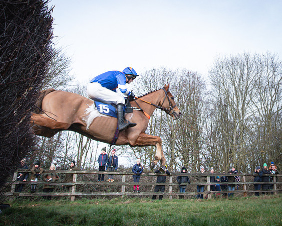 Race 2 - Maiden (51 of 145)