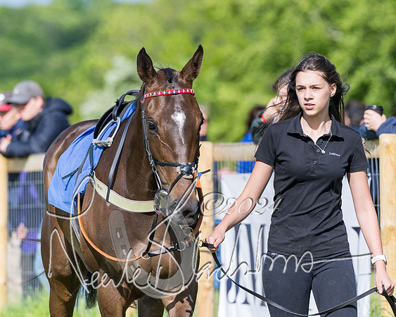 Race 6 - The Maiden  (11 of 448)