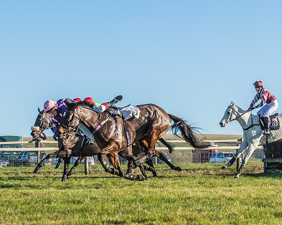 Race 1 - PPORA Novice Riders Race-28