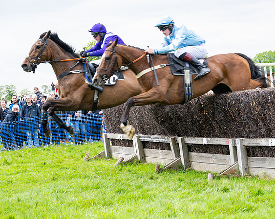 Race 2 - Veteran Horse (50 of 80)