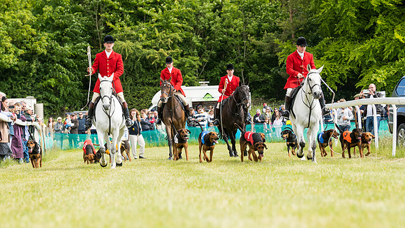 Hound Race  (6 of 49)