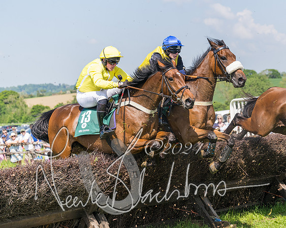 Race 2 - The Maiden  (267 of 442)