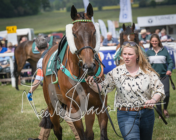 Race 1 - the Grafton adjacent hunts conditions race (level 2) (21 of 120)