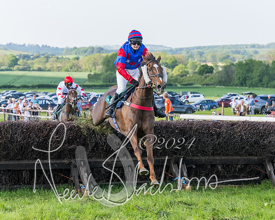 Race 7 - Veteran Horse (126 of 246)