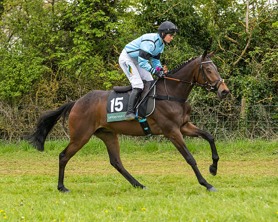 Race 7 - Open Maiden  (5 of 106)