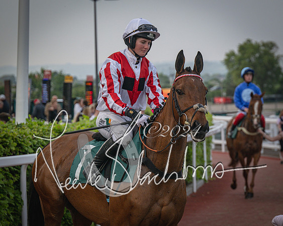 Race 5 - Mares Open Hunter Steeplechase 3m2f 70y (51 of 269)