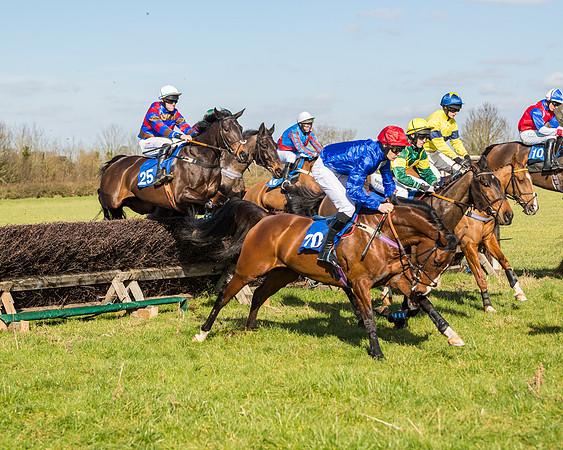 Race 1 - Open Maiden Division 2 (60 of 173)