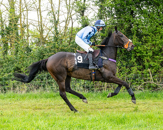 Race 2 - 2M4F Conditions (55 of 195)