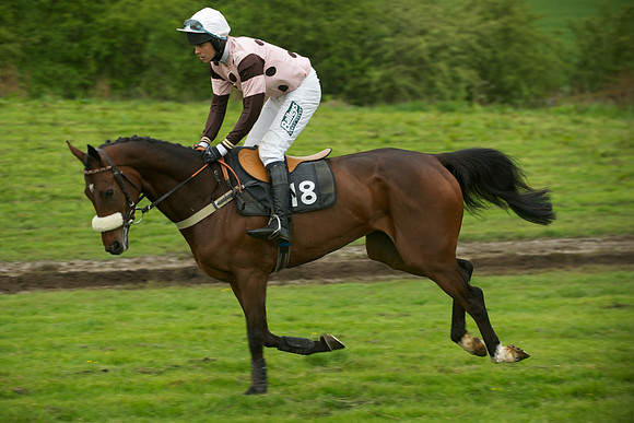 Race 7 - 2m4f Maiden 13