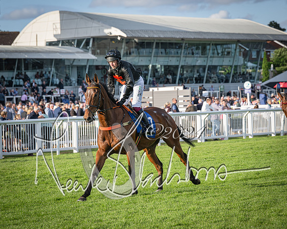 Race 4 - Peretemps Stratford Foxhunters (29 of 168)