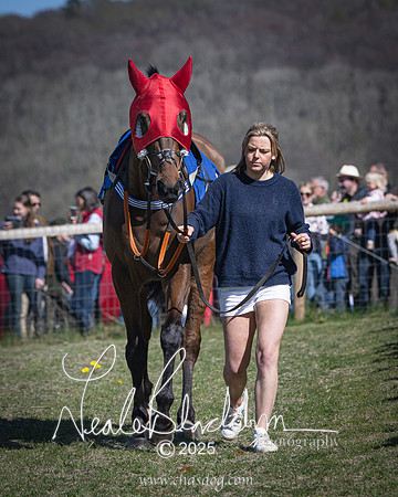 Race 4 - Mixed Open (11 of 168)
