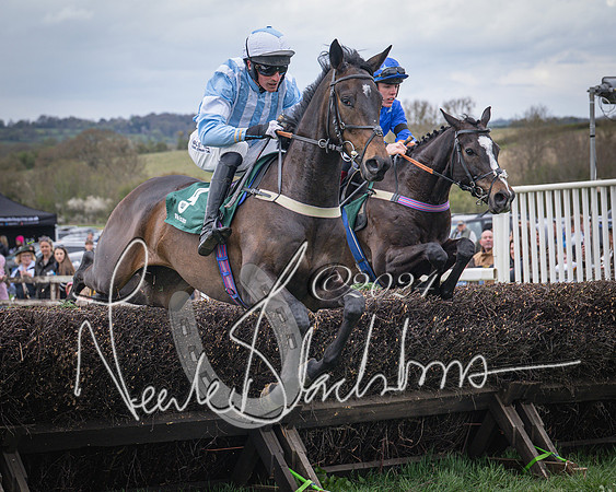 Race 2 - Tattersalls Cheltenham 4 year old Maiden (23 of 85)