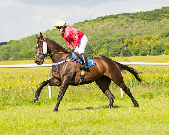 Race 5 - Restricted  (29 of 136)
