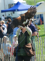 picture-10