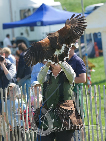 picture-10