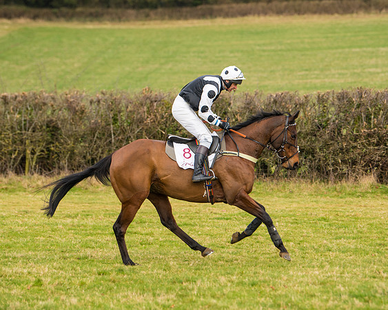 Race 3 - Restricted  (28 of 100)