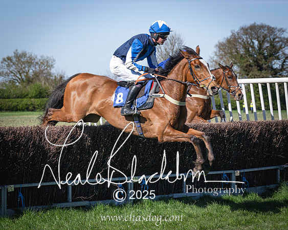 Race 6 - Veteran horse (72 of 109)