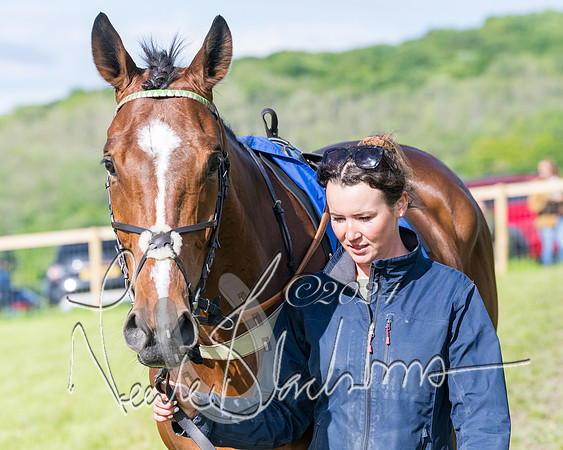Race 6 - The Maiden  (19 of 448)