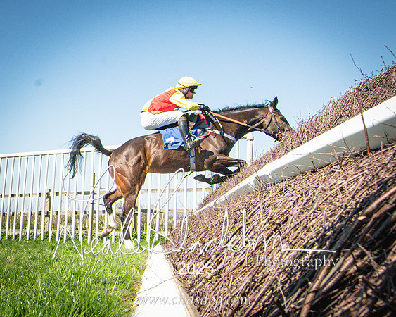 Race 2 - The Maiden (96 of 118)