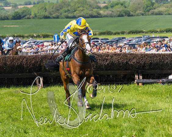Race 2 - The Maiden  (295 of 442)