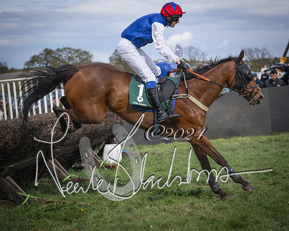Race 4 - Bicester Gold Cup mixed Open (53 of 89)
