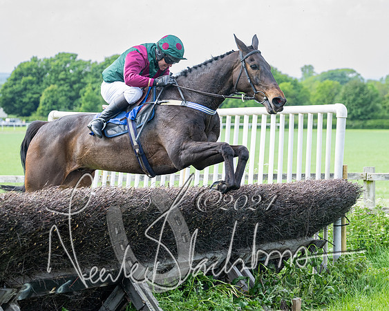 Race 2 - Restricted  (270 of 308)