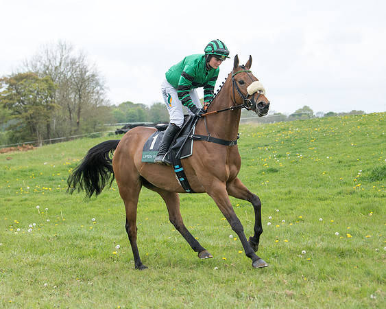 Race 3 - Warwickshire Hunt Members (1 of 65)