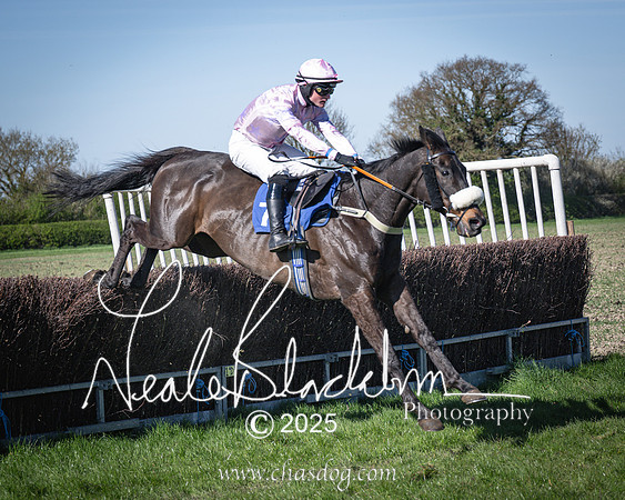 Race 6 - Veteran horse (83 of 109)