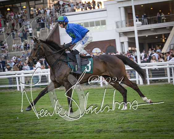 Race - 7 The Royal Gloucester Hussars Open Hunter's steeplechase 2m4f 127y (45 of 210)