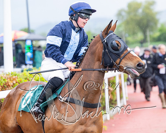 Race 5 - Mares Open  (26 of 129)