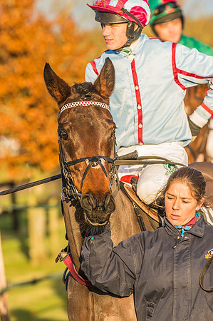 Race 6 - 4 5 6 yr old 2m4f Maiden Race-31