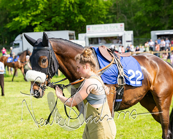 Race 5  - Maiden race 2m5F Div-1 (29 of 197)