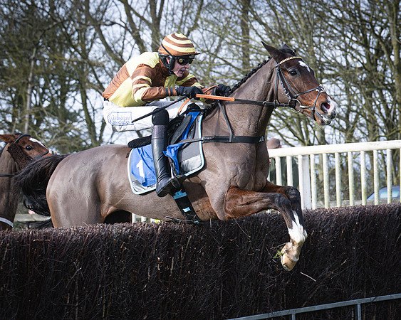 Race 1 - All Is True - Jack Andrews (27 of 38)