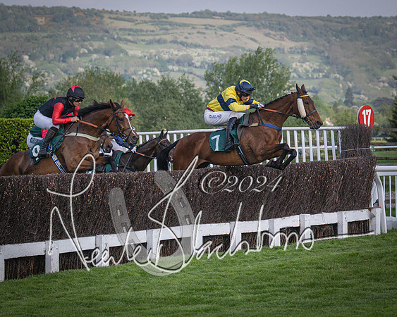 Race 2 - The Venatour sports travel intermediate point to point hunters’ steeplechase 5 year olds and over 3m2f (41 of 163)