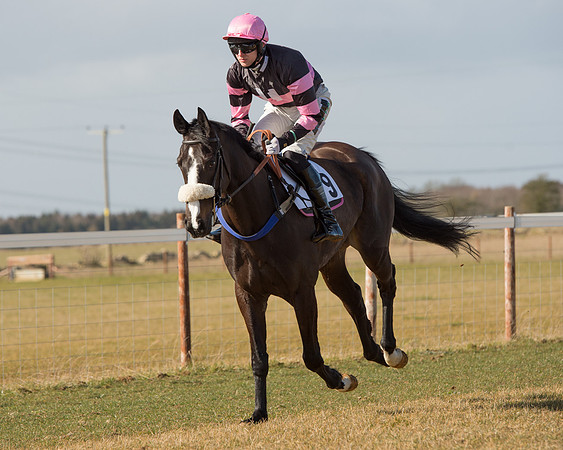 Race 1 - 4-5-6 Maiden (35 of 119).jpg
