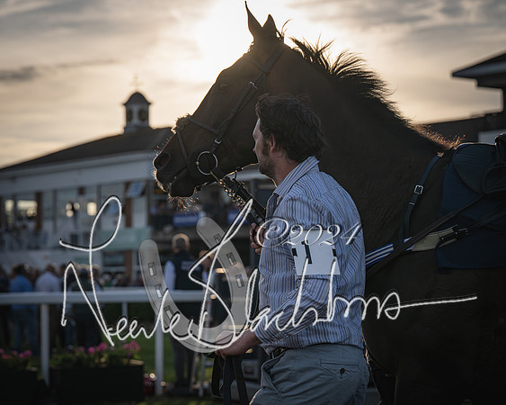 Race 5 - tipsterreviews.co.uk handicap (19 of 107)