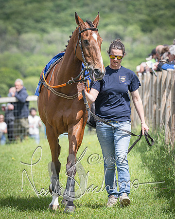 Race 1 - The owner-trainer Conditions race (8 of 118)