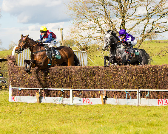 Race 5 - Restricted  (34 of 118)