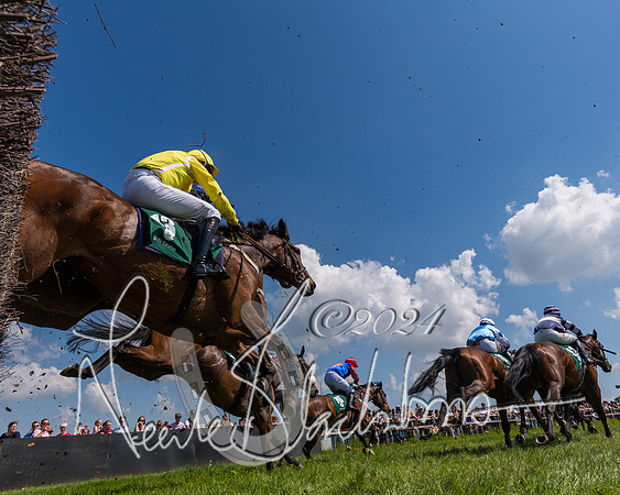 Race 2 - The Maiden  (262 of 442)