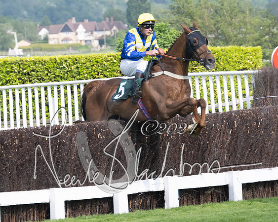 Race 1 - The Bottle Green Open Hunters steeplechase 2m62y (31 of 93)