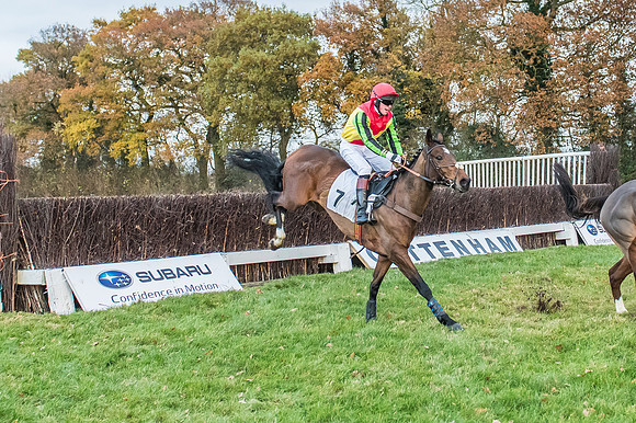 2 Mile 4 Furlong Maiden Race -21