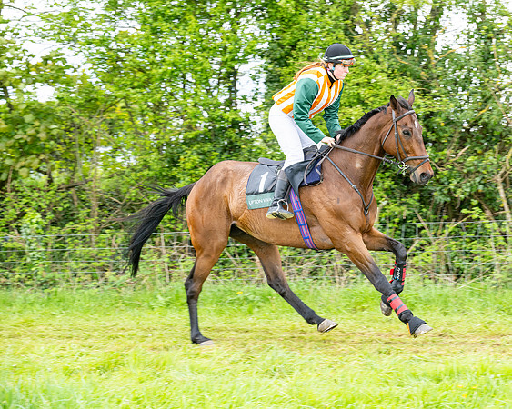 Race 2 - 2M4F Conditions (38 of 195)