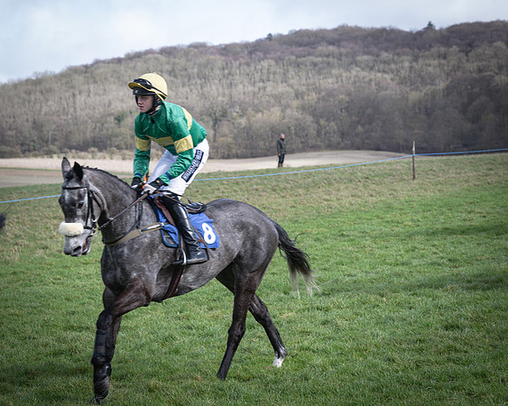Race 1 - Four and Five year Old Maiden (54 of 137)