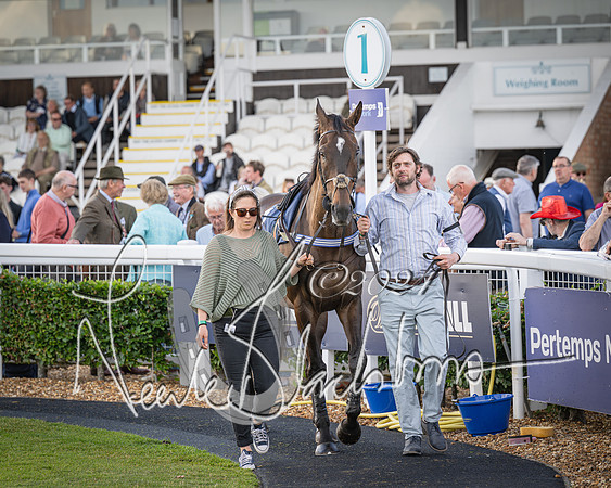 Race 5 - tipsterreviews.co.uk handicap (15 of 107)