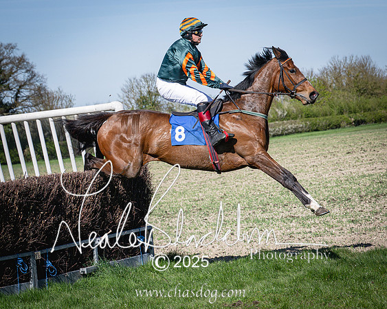 Race 5 - The restricted (62 of 113)