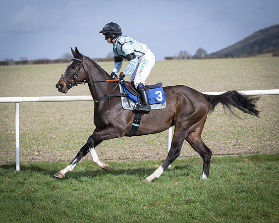 Race 3 - The Maiden Conditions (67 of 214)