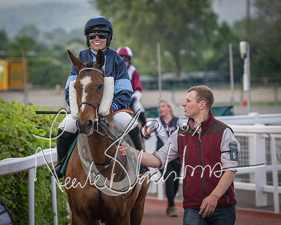 Race 5 - Mares Open Hunter Steeplechase 3m2f 70y (34 of 269)