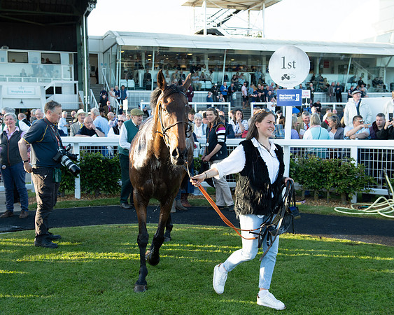 Race 5 - White Swan Hotel Handicap (73 of 80)