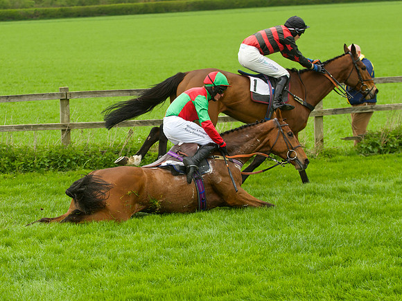 Race 3 - 4-5-6 Maiden 56